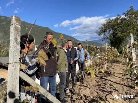 1638977107813089264.jpg 6.webp.jpg